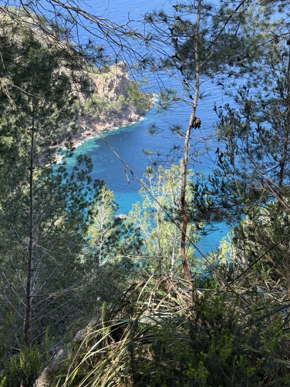 Fjallastígar Mallorca. Gönguferð - Image 12