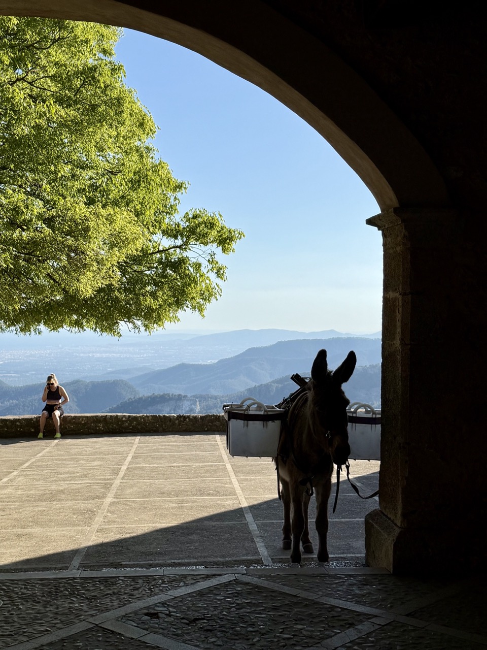 Fjallastígar Mallorca. Gönguferð - Image 16