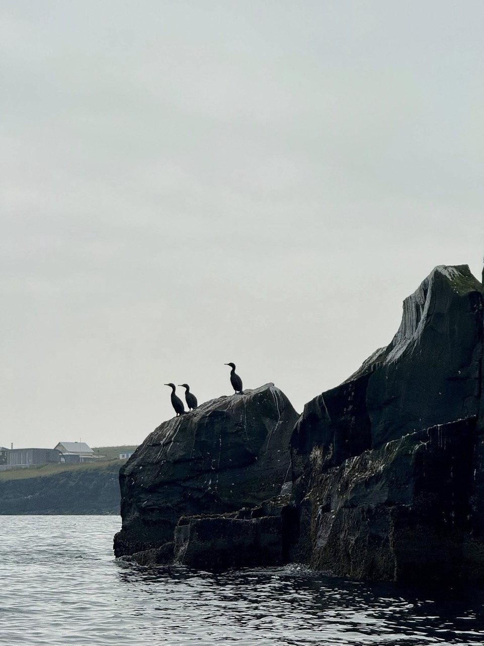 Arnarstapi-Hellnar. Kajak - Image 6