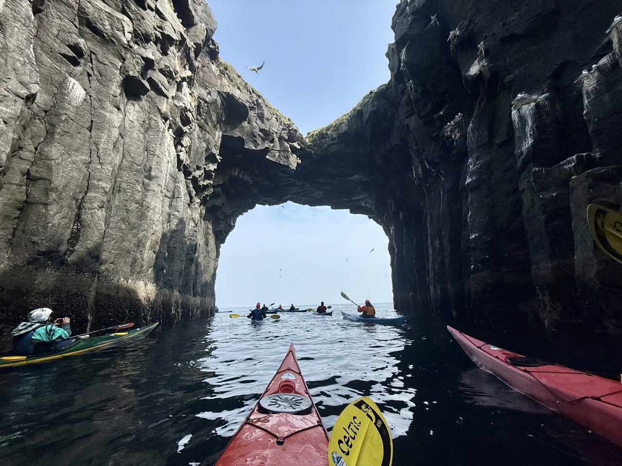 Arnarstapi-Hellnar. Kajak