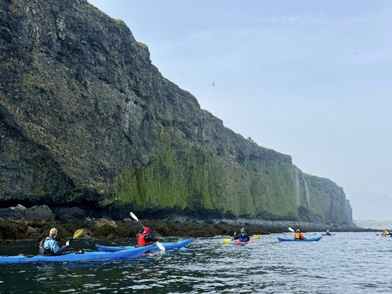 Arnarstapi-Hellnar. Kajak - Image 5